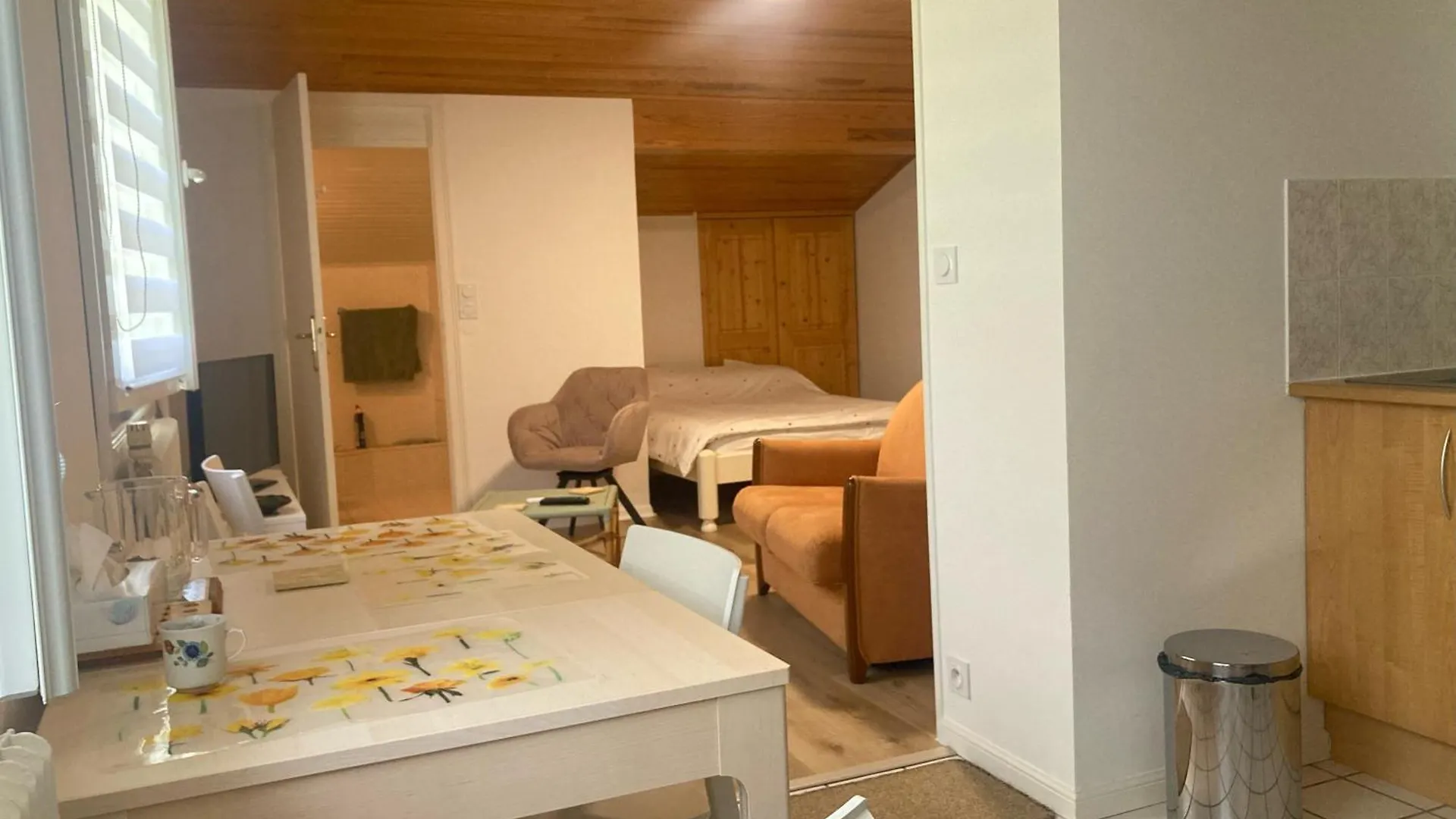 Studio Villard De Lans - Vercors Apartment Villard-de-Lans